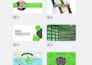 pitch deck and professional presentation